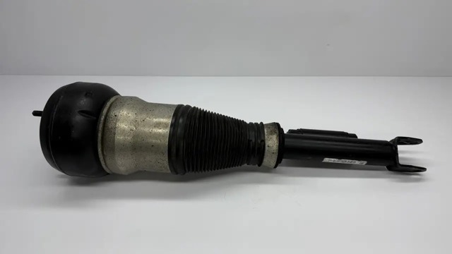MERCEDES A2223200113 в наличии Кривой Рог