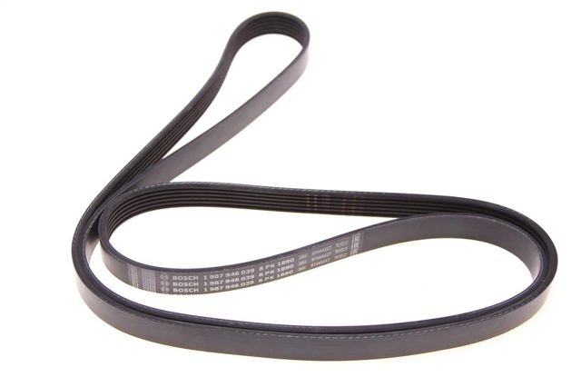 1987946039 Ремень генератора купить Ужгород