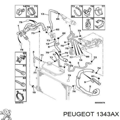 PEUGEOT 1343AX Шланг (патрубок) радиатора охлаждения верхний в наличии Киев