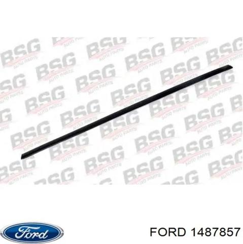 1487857 FORD Молдинг двери передней левой купить в Киев