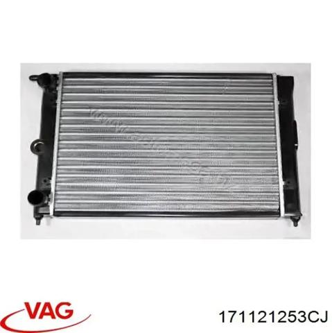 VAG 171121253CJ Радиатор в наличии Чернигов