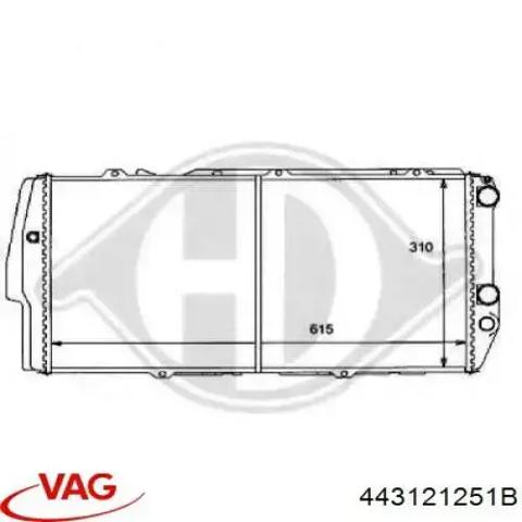 443121251B VAG