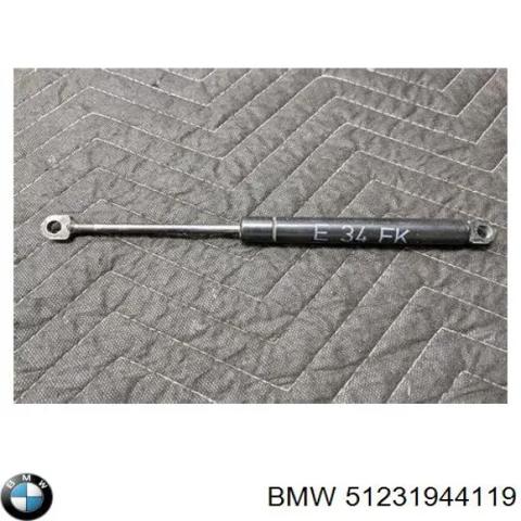 51231944119 BMW Амортизатор капота купить в Полтава
