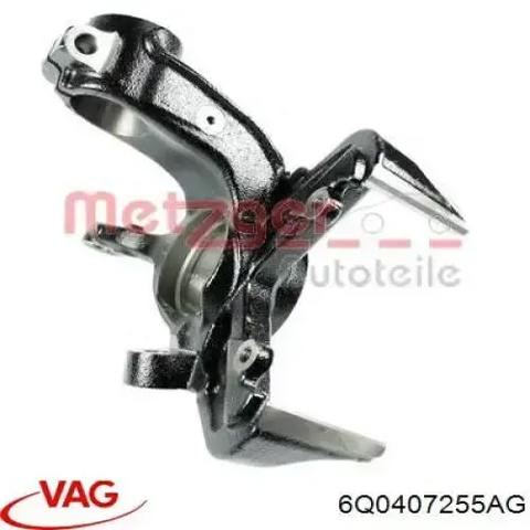VAG 6Q0407255AG Цапфа (поворотный кулак) передний левый в наличии Днепр