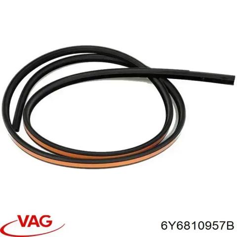 6Y6810957B VAG