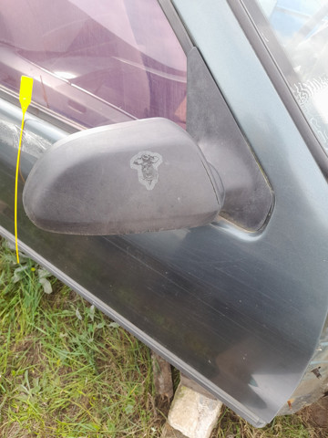 7700789180 RENAULT Зеркало заднего вида правое купить в Львов