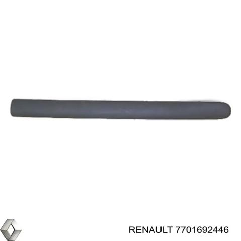 7701692446 RENAULT Молдинг двери задней правой купить в Тернополь