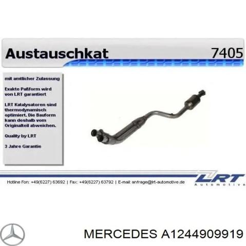 A1244909919 Mercedes