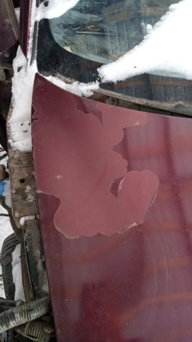C00152310C Капот купить Хмельницкий