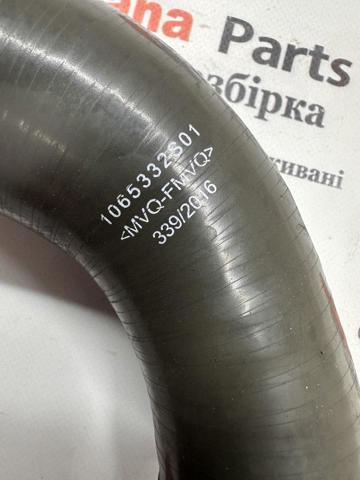 1065332S01 RENAULT Патрубок интеркулера купить в Черновцы