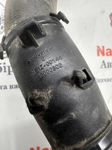215019194R Шланг (патрубок) радиатора охлаждения верхний купить Тернополь