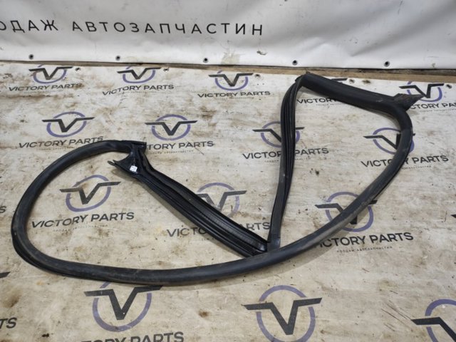 VAG 8W8833707 Уплотнитель двери задней левой (на кузове) в наличии Винница