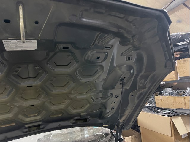 FORD DP5Z16612A Капот в наличии Ужгород