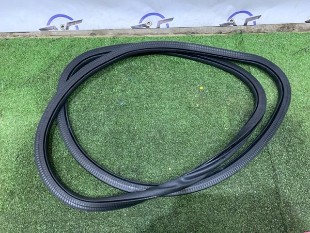 FORD GP5Z5420709A Уплотнитель двери передней левой (на кузове) в наличии Ужгород