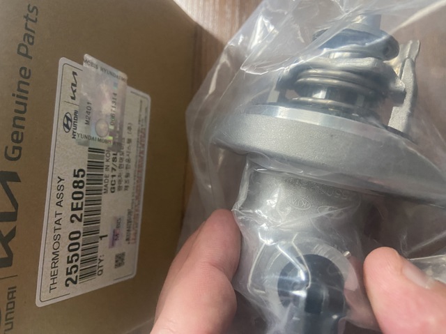 Термостат в сборе 255002E085 HYUNDAI