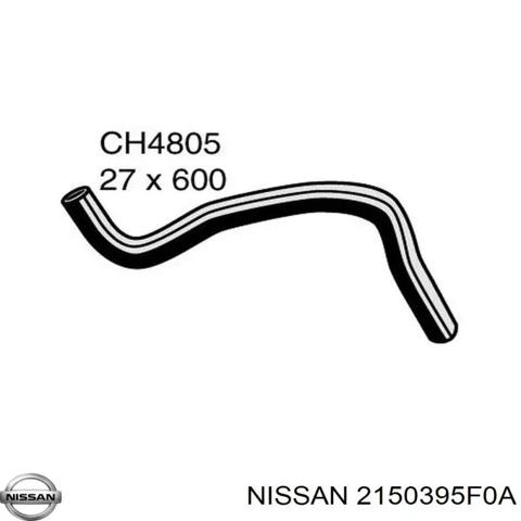Шланг радиатора, нижний 2150395F0A NISSAN