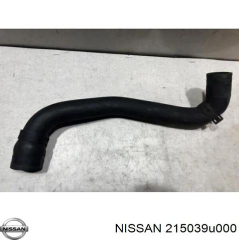 Шланг радиатора, нижний 215039U000 NISSAN