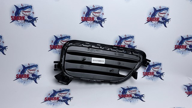 51117338513 BMW Решетка бампера переднего левая нижняя купить в Полтава