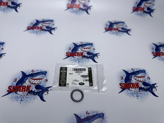 Прокладка масляного фильтра LR013151 LAND ROVER