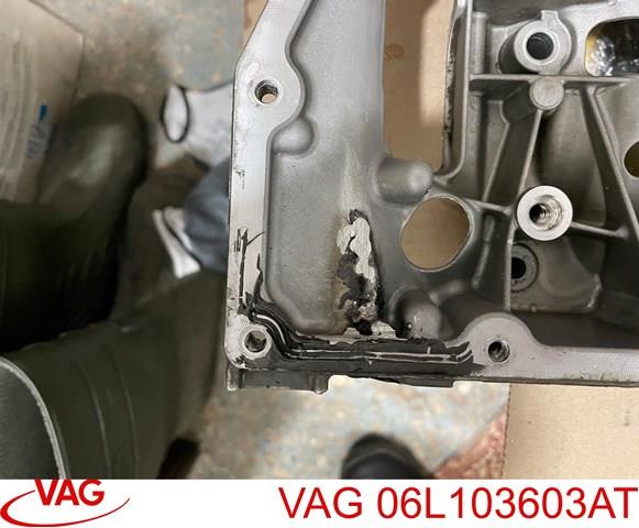 VAG 06L103603AT Поддон масляный картера двигателя, верхняя часть в наличии Каменское
