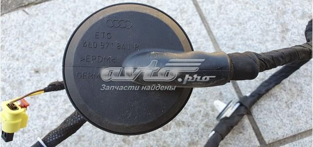 4L0971841P VAG купить в Кривой Рог