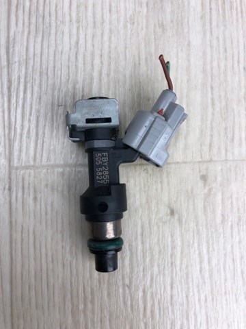 Клапанная форсунка Nissan Rogue