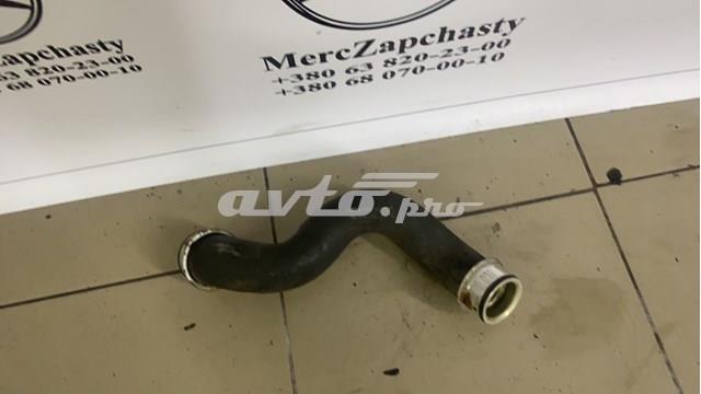 A2045011682 Шланг (патрубок) радиатора охлаждения нижний купить Ирпень