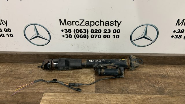 Амортизаторы задние Mercedes R