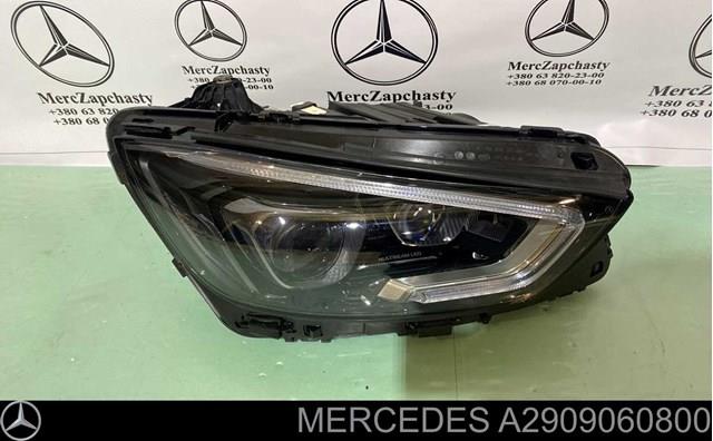 A2909060800 Mercedes