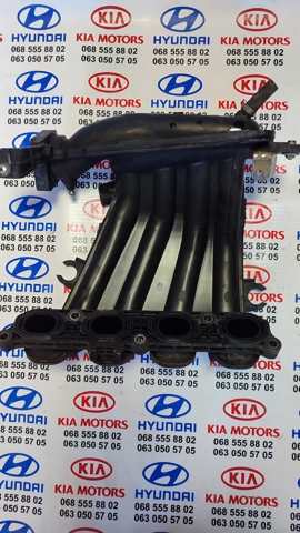 NISSAN 14001EE00B Впускной коллектор в наличии Кривой Рог