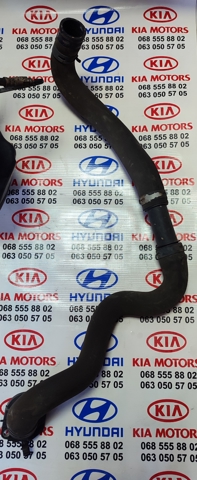 Нижний патрубок радиатора 21503JD000 NISSAN