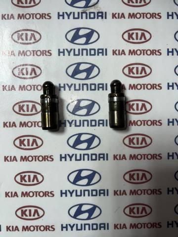 Толкатель клапанов двигателя 246102E000 HYUNDAI