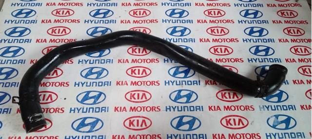 Шланг системы охлаждения 254112G100 HYUNDAI
