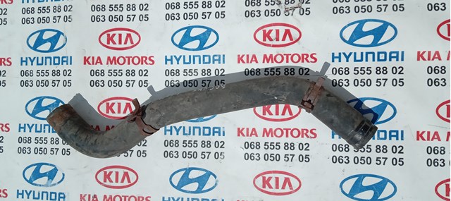Шланг радиатора, нижний 254121E100 HYUNDAI