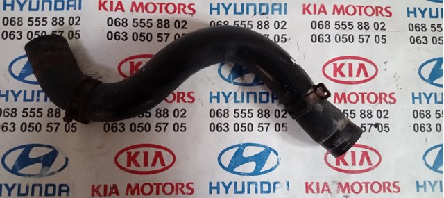 HYUNDAI 254122P000 Шланг расширительного бачка нижний в наличии Ужгород