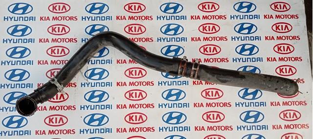 Патрубок радиатора охлаждения нижний 254153S110 HYUNDAI