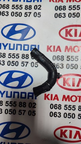 Шланг (патрубок) обогрева дроссельной заслонки 254682B000 HYUNDAI