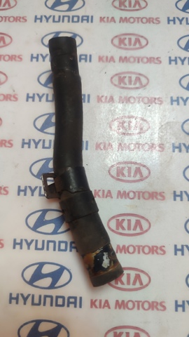 Шланг термостата 254682G201 HYUNDAI