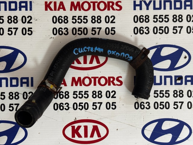Шланг (патрубок) радиатор EGR, подача 256302F000 HYUNDAI