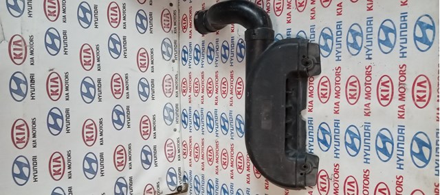 Воздухозаборник 282121H000 HYUNDAI