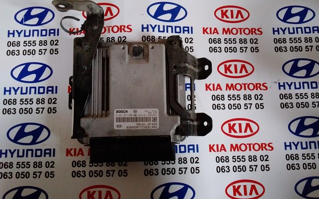Мозги двигателя 391012F020 HYUNDAI
