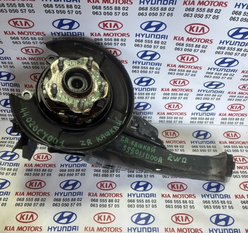 NISSAN 43202JG000 Задняя ступица в наличии Сумы