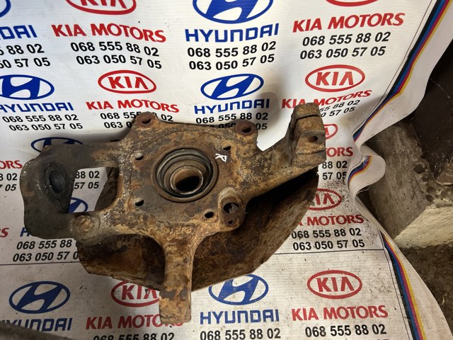 Цапфа поворотная правая 512513E201 HYUNDAI