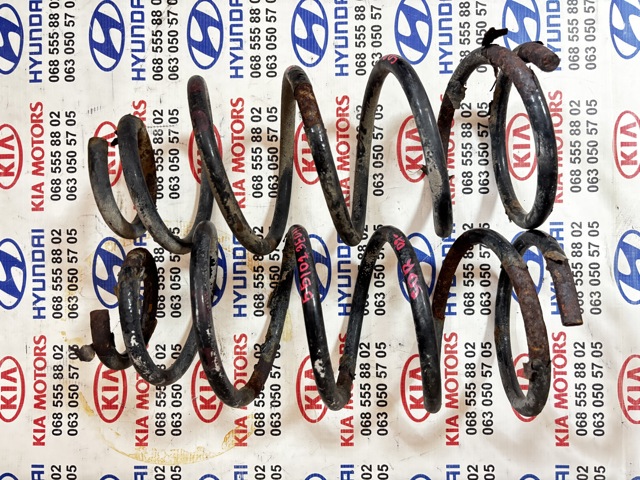 Пружина подвески задняя 551013E011 HYUNDAI