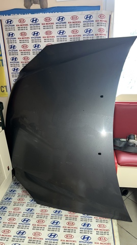 Капот двигателя 664002G010 HYUNDAI