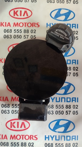 Лючок топливного бака 695102T000 HYUNDAI