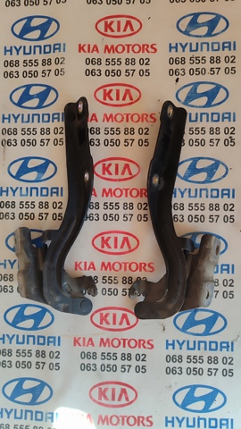 Петля капота, левая 791102T000 HYUNDAI