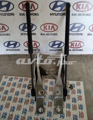 Левая петля капота 791104Z000 HYUNDAI
