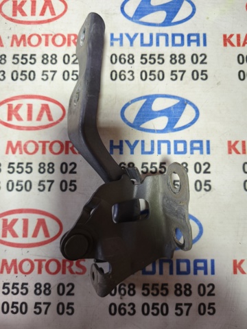 HYUNDAI 791201J000 Петля капота правая в наличии Черновцы