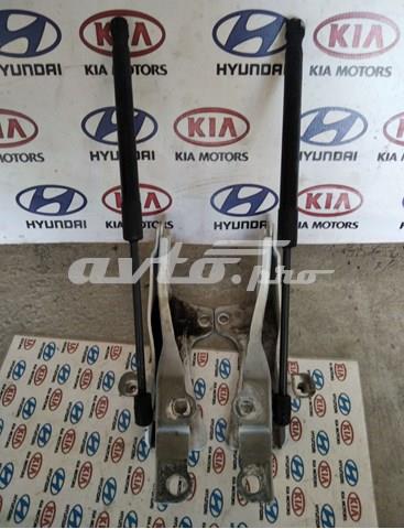 Завес капота, правый 791204Z000 HYUNDAI